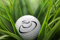Scott Mahlberg, PGA